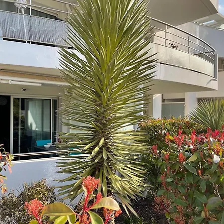 21 - Tres Agreable Rdc Avec Terrasse Et Parking Appartement *